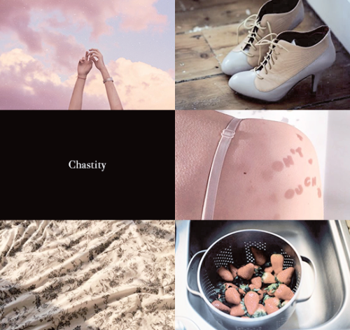my-cat-said-no:ibuzoo:1000 Picspams Challenge | #506 - The Seven Heavenly Virtues@wearepaladin