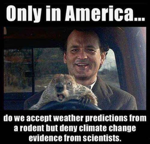 the-legend-of-ze:Happy groundhogs day everyone!