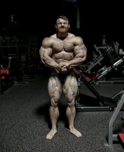 Flex Lewis