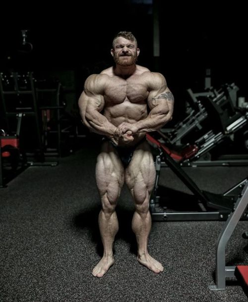 Sex Flex Lewis pictures