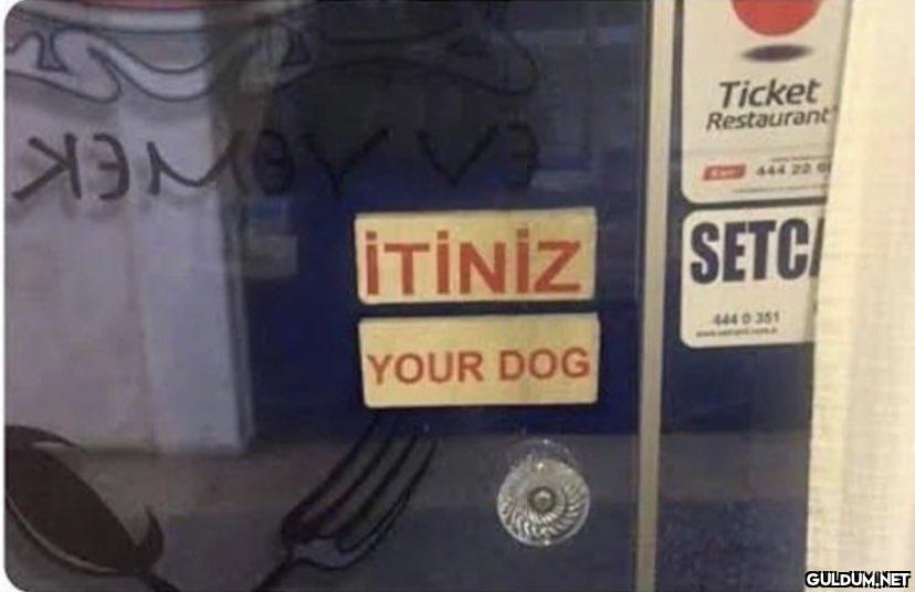 хэме İTİNİZ YOUR DOG...