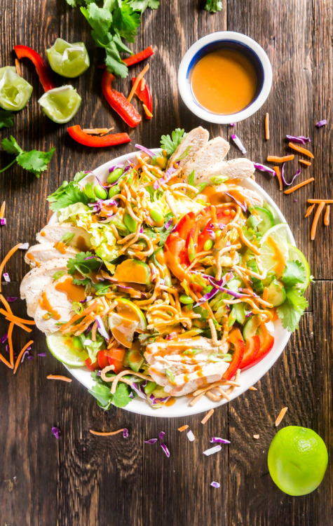 pinterestfoodie1992 - ASIAN SALAD WITH PEANUT DRESSING