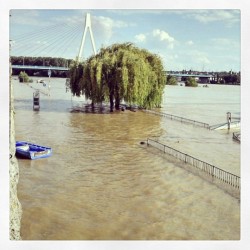 niacavaon:  Walk into tha city like -waddup, my name is Rhein! #neuwied #swag #yolo #hochwasser 