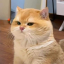 chxrrymxrlot