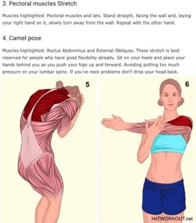 taichi-kungfu-online:  18 pictures that show you exactly what muscles you are stretching