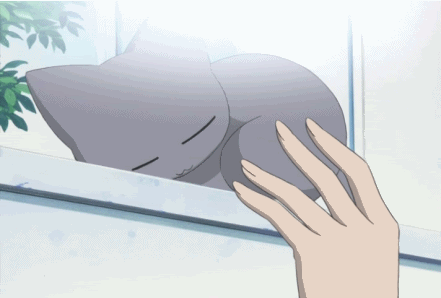atomicparadisethings:  when this happens to me, im just like: &ldquo;Kitteh!!