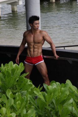 asianmalemuscle:  busankim:  Rocky Angkor