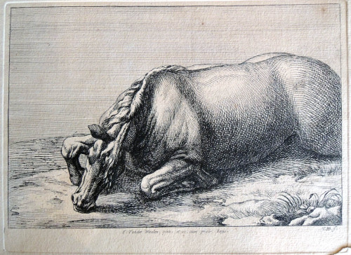 Engraved after Charles Le Brun’s Etudes de chevaux de bataille blesses (Studies for Wounded Wa