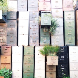 thouswell:  file cabinet planter wall | http://instagram.com/p/rx2DK3P7mV/