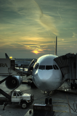 fuckyeahairplaness:  Airbus A310 at YYZ (by