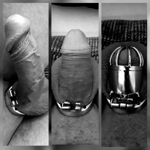 male-chastity-fantasies: From 15 to 4 cm in 3 minutes.