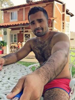 BEAR_HAIRY
