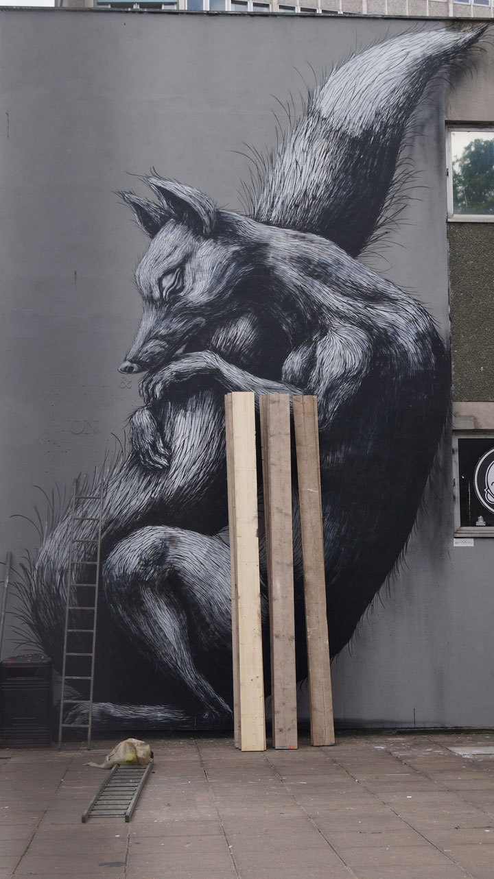 Bristol - ROA