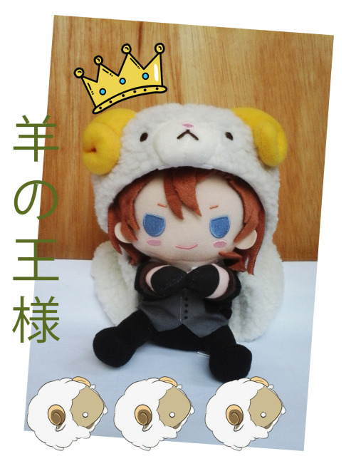 New coat for our king of the sheep!! asdfghhjjkll i can’t believe!! he’s so cute!!!!! i love u chuuy