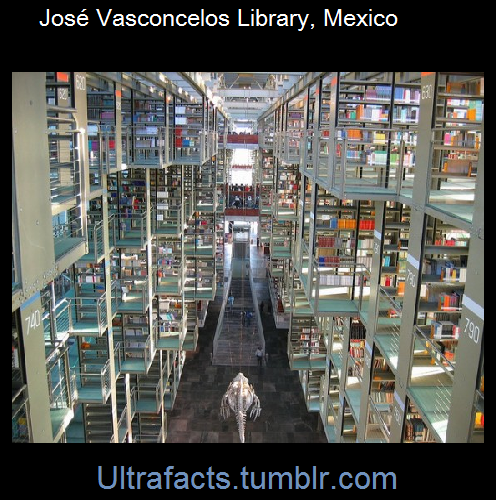 Porn ultrafacts:  Some cool libraries from around photos