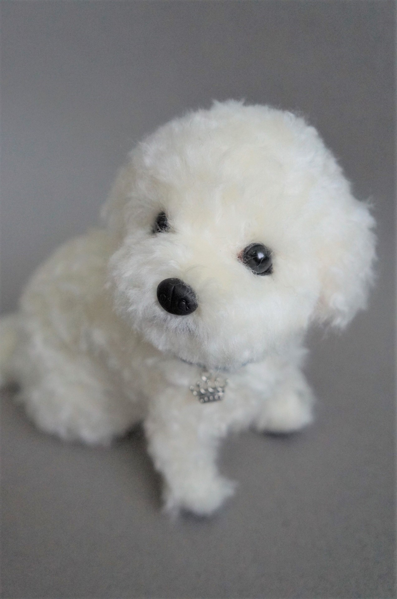 janetsneedlefelting:  I felted this Maltese puppy upon request.  I like its expression