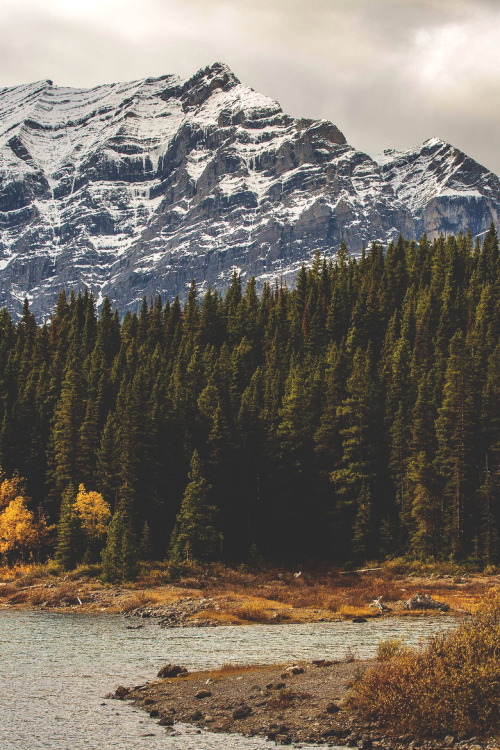wnderlst:  Kananaskis, Canada ↝ Daniel Hodorek