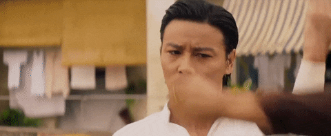 Master Z - Ip Man Legacy (2019)