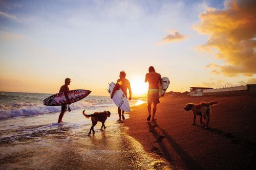 highenoughtoseethesea:    Tanner Gudauskas, Dane Gudauskas, and Dylan Graves, Jamaica. Photo: Ellis  
