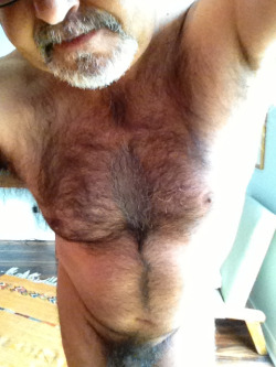 bearsdadsandchubs2:  Join Chaturbate for more free dads,bears and chubs 