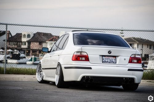 sickest-whips