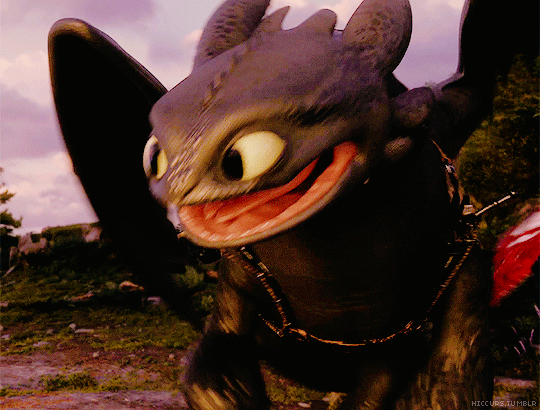 Just watched How to Train Your Dragon 2.I love Toothless.