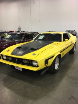 1963to1974:  Sweet restored 1971 Mach 1 Mustang with a massive 429 seething under the hood. It was mated to a 4-speed. Here she is in her “Medium Yellow Gold” factory paint sporting the Ram Air option. This car put out 375 horsepower in factory trim.