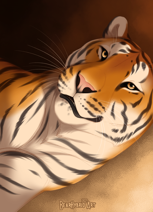 I wanted to draw a tiger but had very little time, so I made a quick painting study