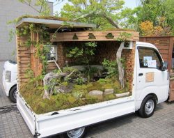 ahonecobra: 軽トラガーデンコンテスト🚚🎍🌷✨