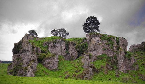 rtwparenting:Hills near Waitomo, New Zealand 