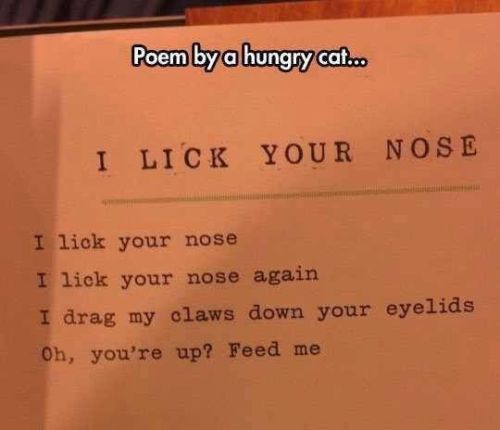 Funny poems about men