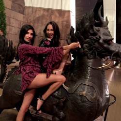 meanwhileinvegas:  When in Vegas…mount a dragon 🔥🐲 by christinadonato http://ift.tt/1d0BB7X