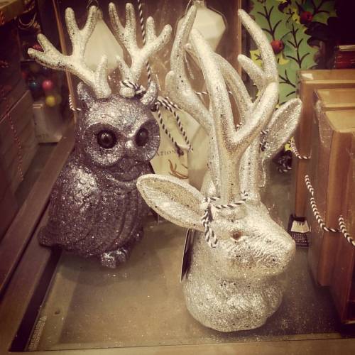 bruitist:Festive jackalope anyone? Owl with antlers??