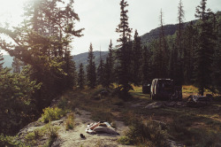 ingelnook:  SLEEPY MOUNTAINS by Theo Gosselin