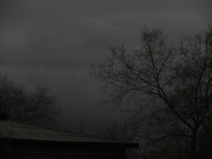 rainingnight: