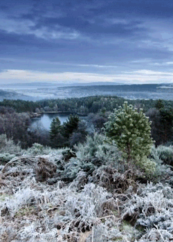 headlikeanorange:  Scottish Highlands (Winterwatch