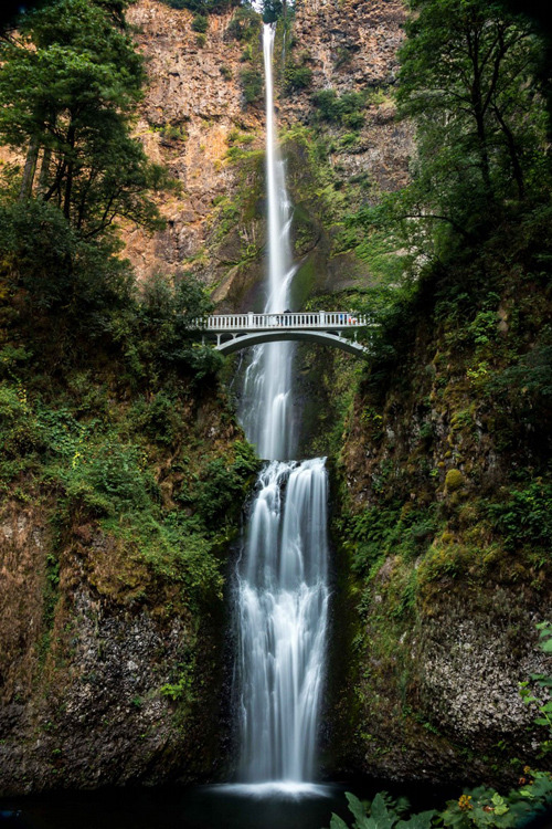 plasmatics-life:  Multnomah Falls - {by Keith D} | {Follow on 500px}