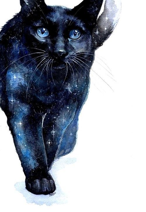 timespacefan:  Source 