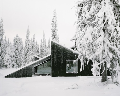 goodwoodwould: Good wood - another wild winter retreat, this time in the depths of Norway. A pale po