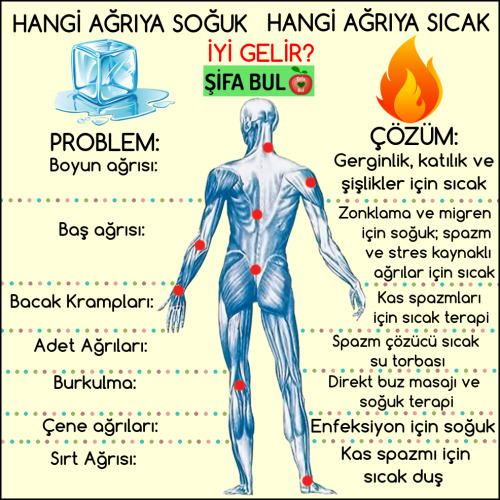 Çözücü Tumblr