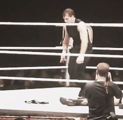 the-deanambrose