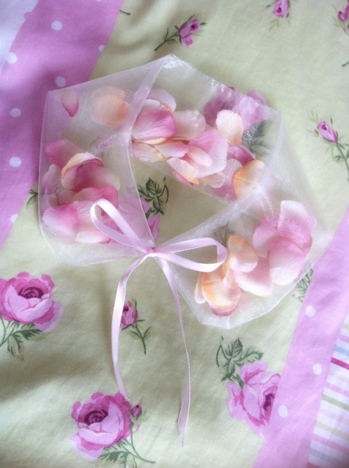 chessdoll:  whimsical-vanilla:  chessdoll:  I gave in after weeks of exam revision, and did a little bit of sewing ꒰♡ˊ͈ ु꒳ ूˋ͈꒱.⑅*♡  so cute, how did you make that??  I made a collar out of organza, and filled it with rose petals!