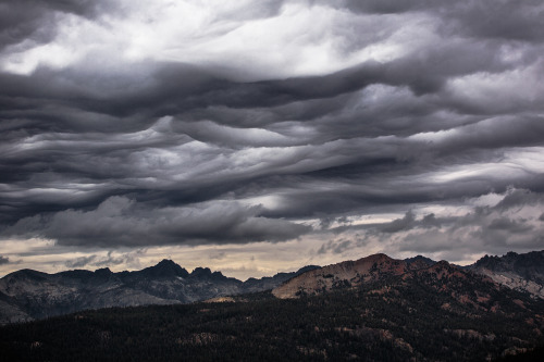 Mammoth Undulated Asparatus par Shane BlackVia Flickr :Frame from my new timelapse film Adventure Is