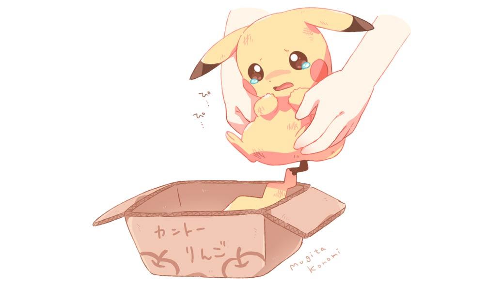 mugitakonomi:
“Pikachu was picked up by someone kind.
”