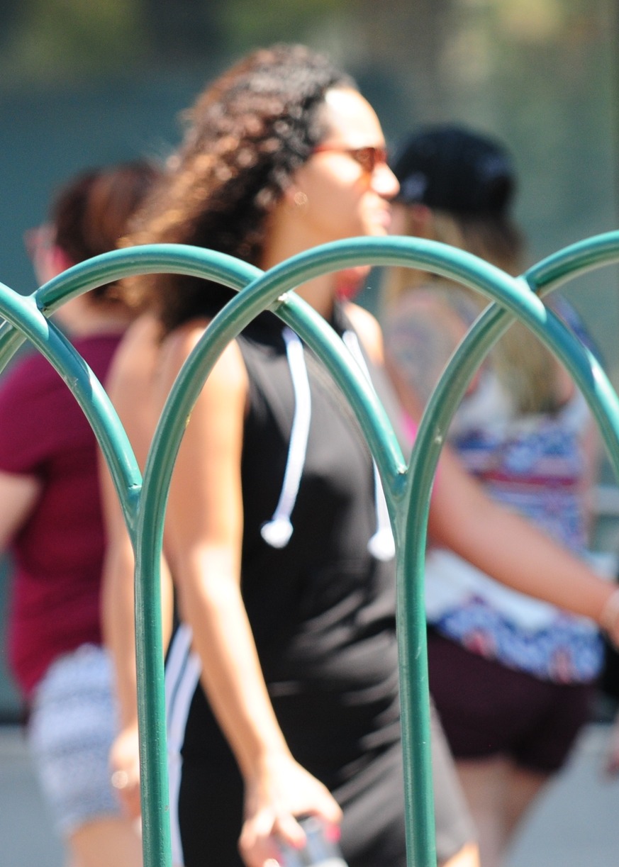 The last picture is why I hate these fences, they might keep people safer but they
