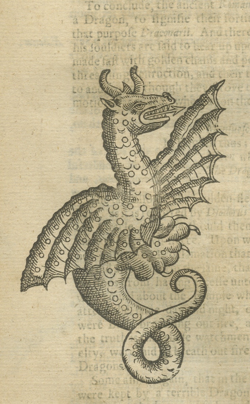 magictransistor:Edward Topsell, History of the Four-Footed Beasts and Serpents, Dragons,