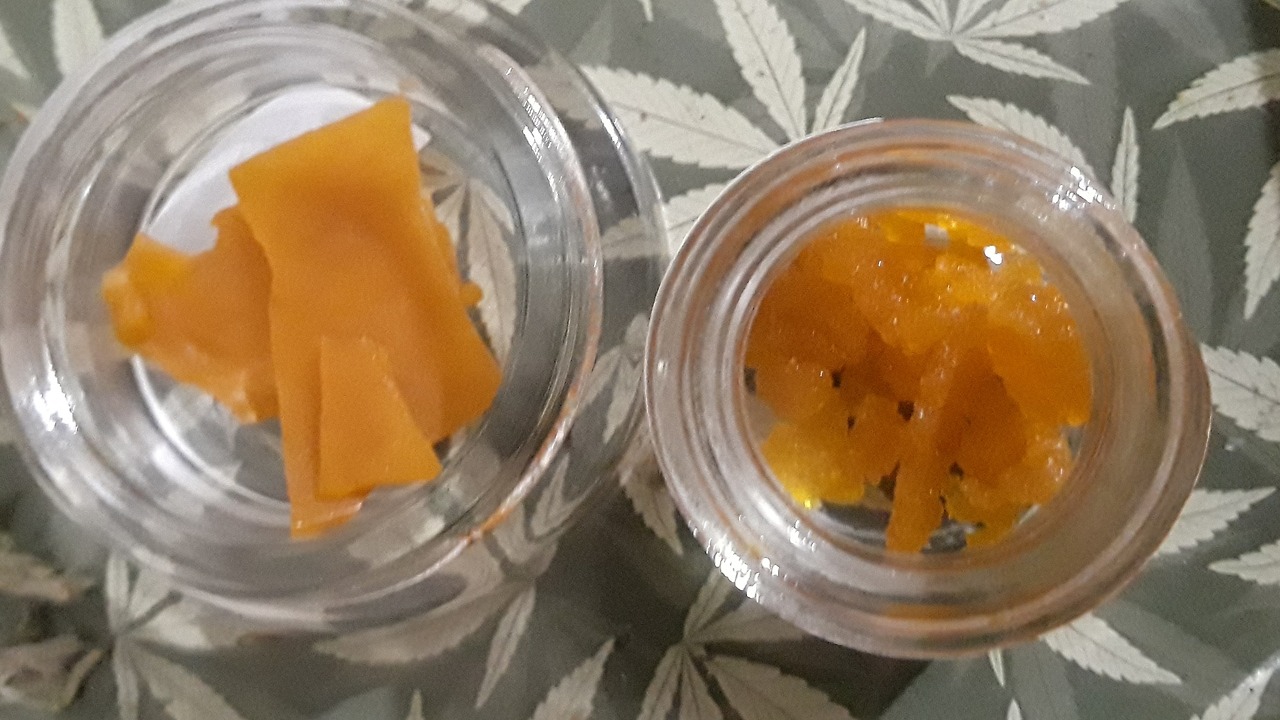misplaceddreamz:Sunset Sherbet &amp; Tahoe OG 🍯🙃