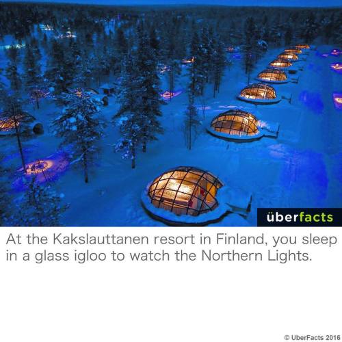 uberfacts:I wanna go. #uberfacts