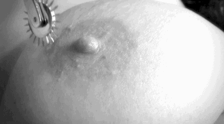 domitianus:  😈