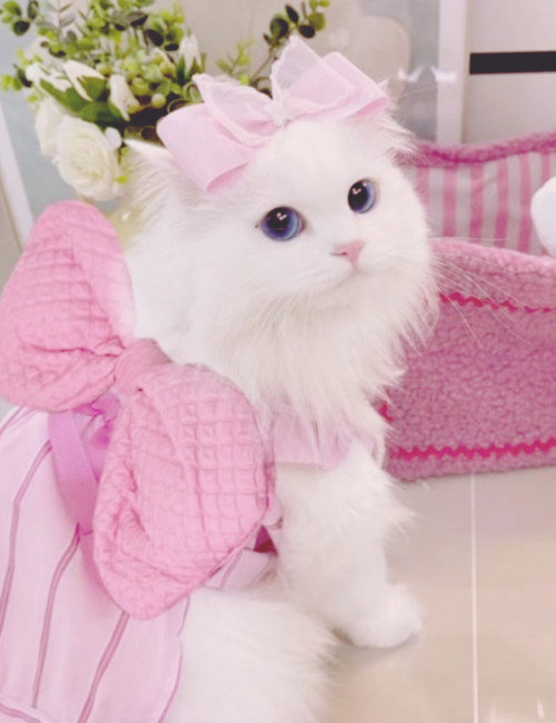 Look On The Pink Side Of Life